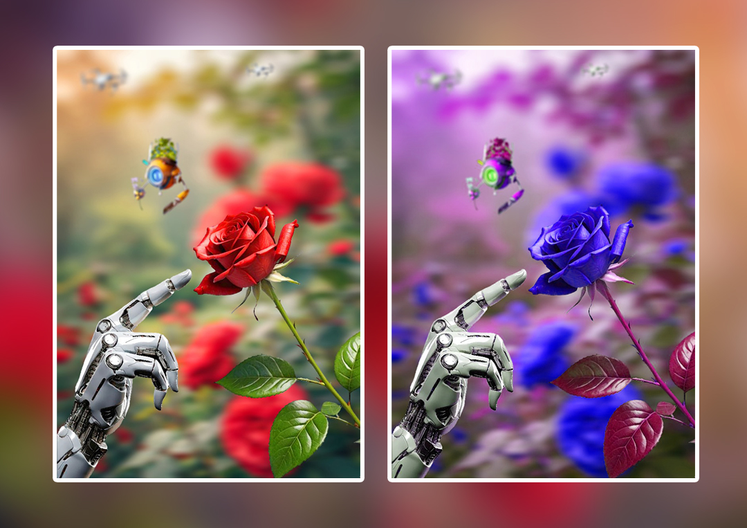 Photography Project 11