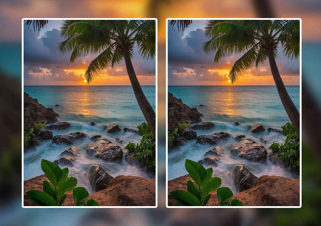 Photography Project 12