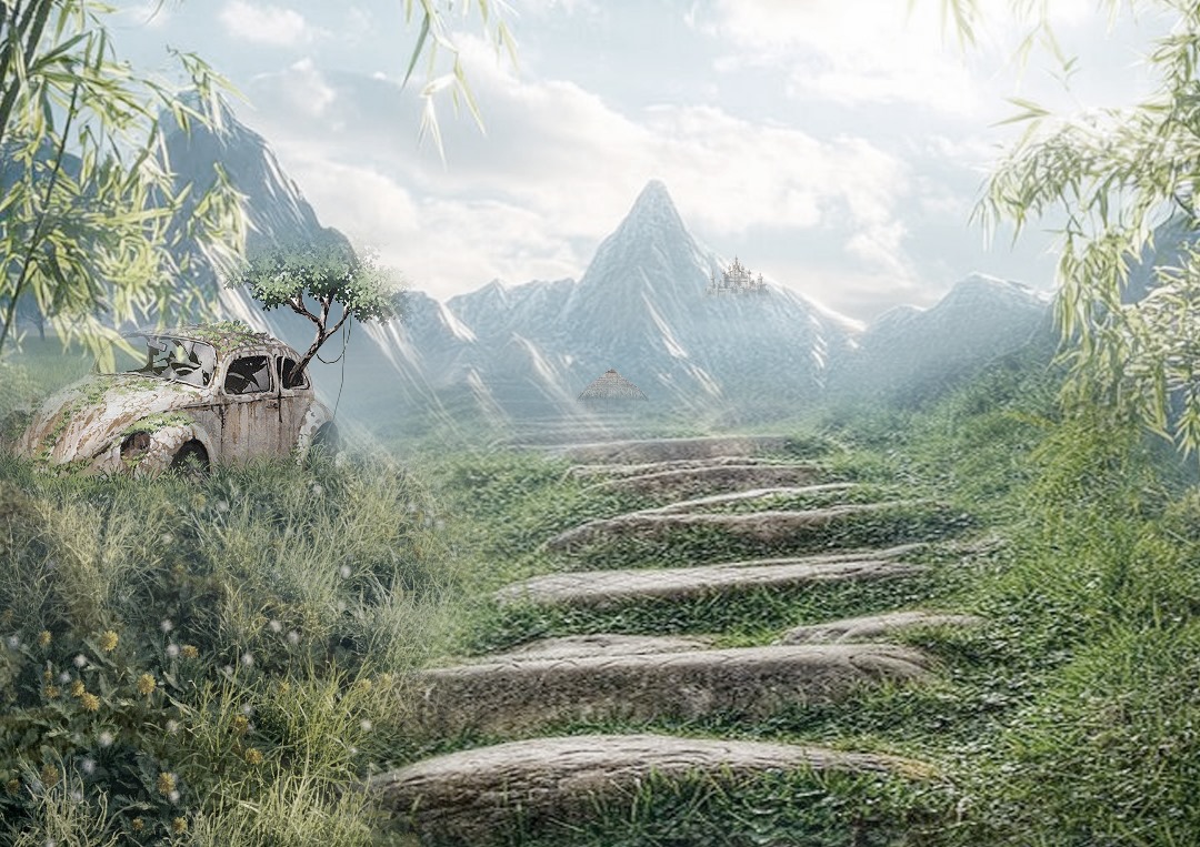 Photography Project 2