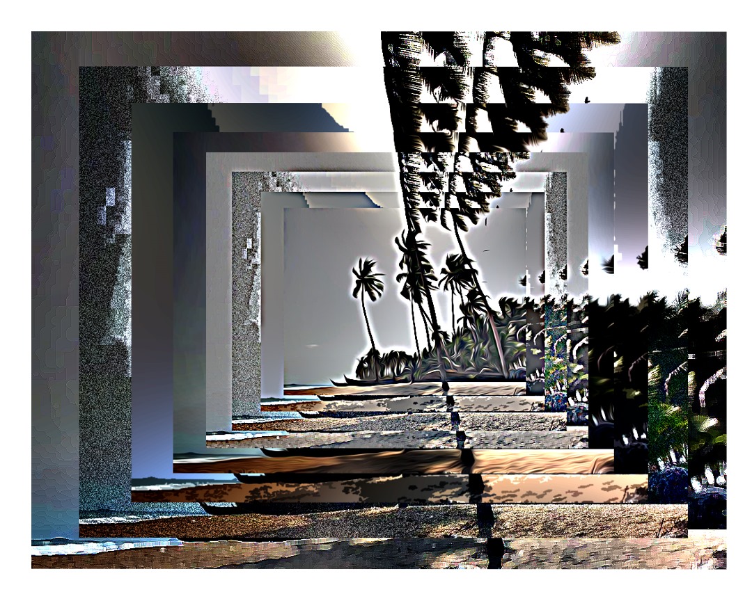 Photography Project 5